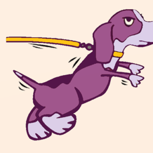 Ticket: Reactive dog - Walk & Train 2022/09/24 - 2022/09/24